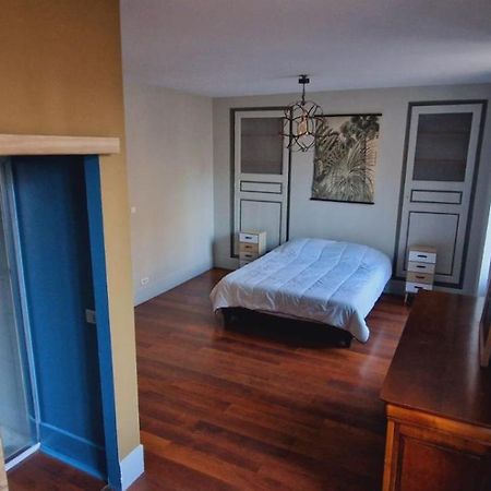 Le Duplex Apartment Chalon-sur-Saone Luaran gambar